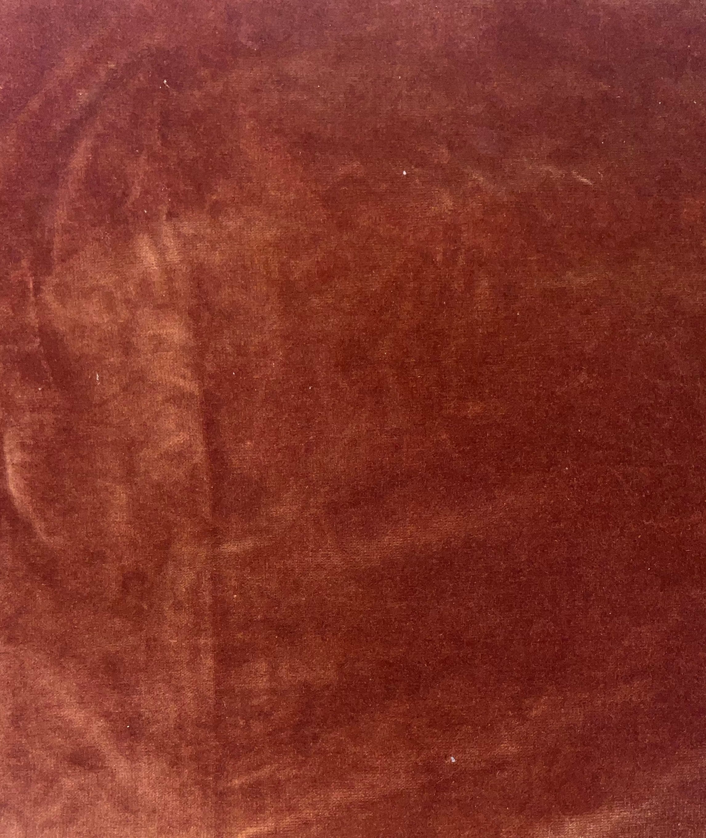 Close-up of a textured brown surface