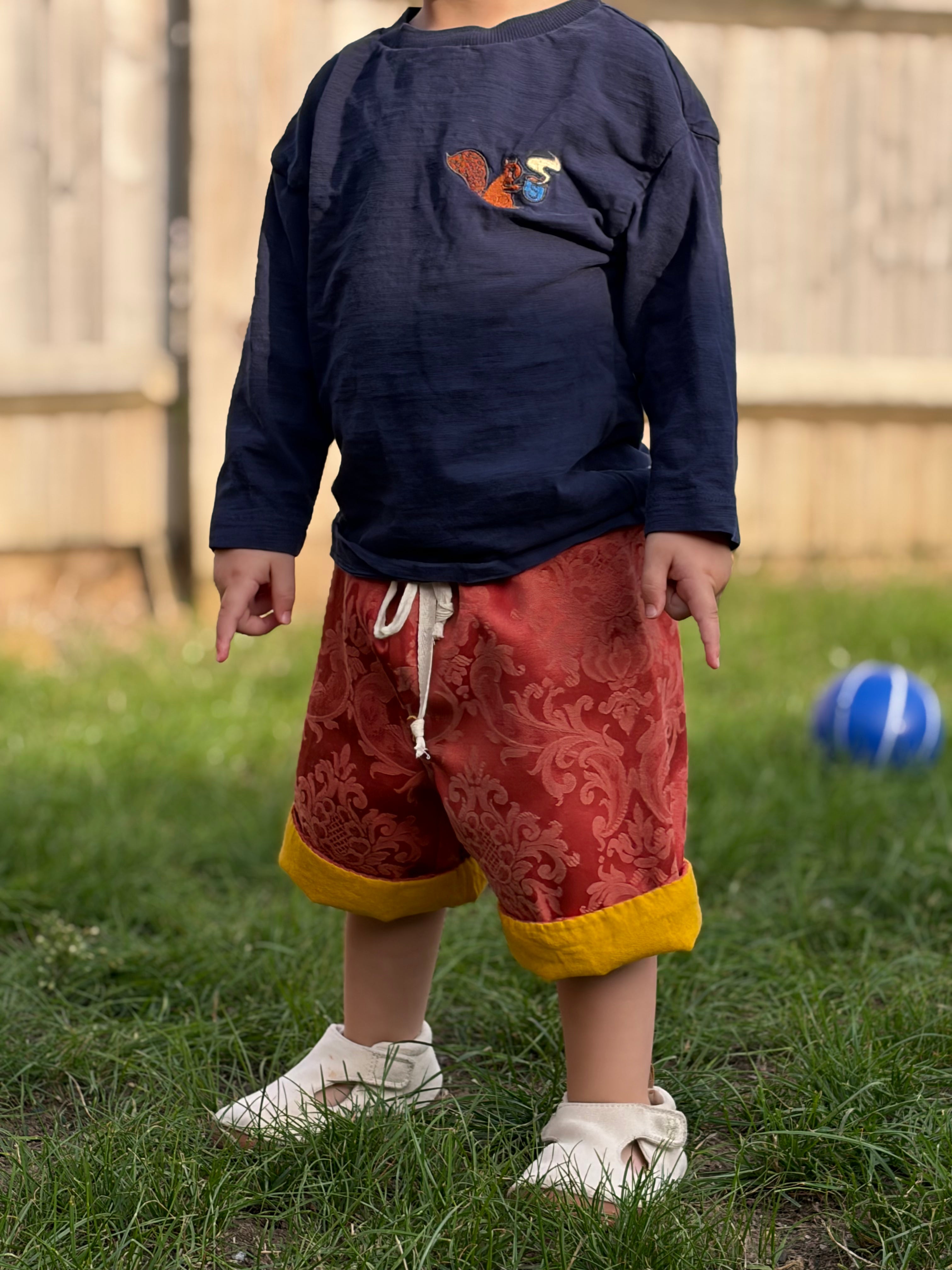 Tiny Shorts Red Brocade