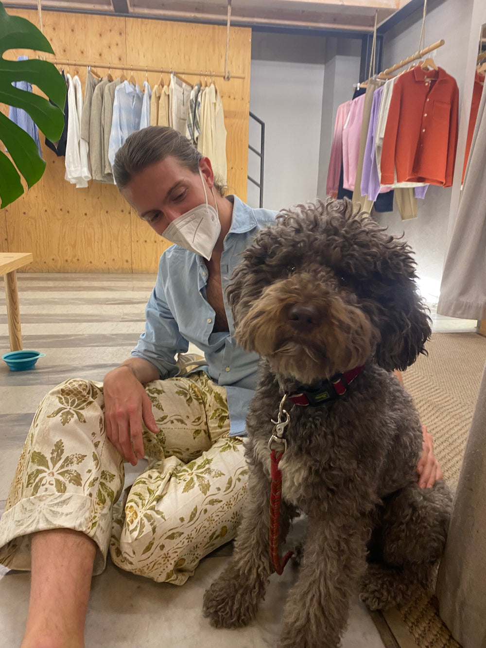 Person sitting on a couch with a dog on their lap, looking at fabric samples.